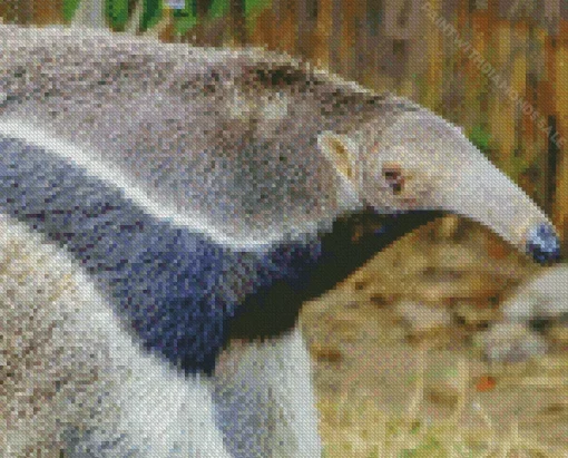 Giant Anteater Close up Diamond Painting