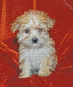 Gold Morkie Dog Diamond Painting