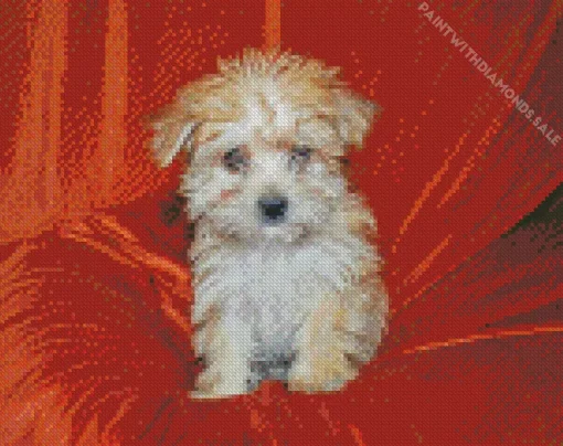 Gold Morkie Dog Diamond Painting