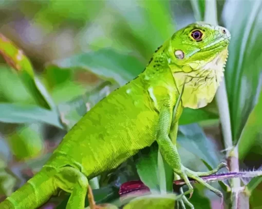 Green Iguana Diamond Painting