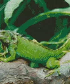 Green Iguana Lizard Diamond Painting