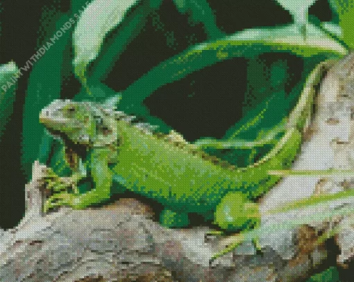 Green Iguana Lizard Diamond Painting