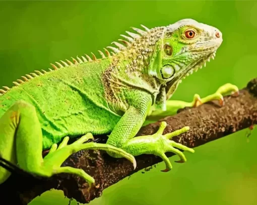 Green Iguana On Tree Diamond Painting