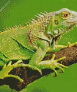 Green Iguana On Tree Diamond Painting