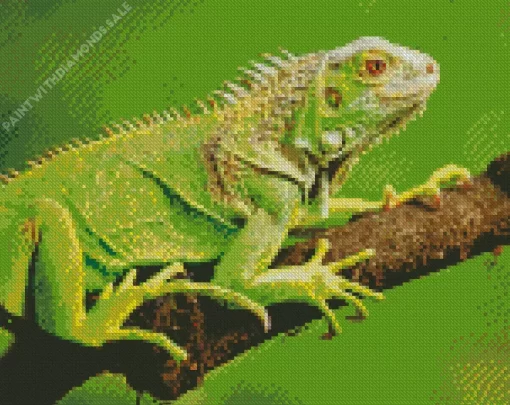 Green Iguana On Tree Diamond Painting