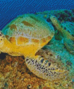 Green Sea Turtle Underwater Diamond Painting