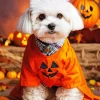 Halloween Bichon Frise Diamond Painting