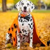 Halloween Dalmatian Diamond Painting