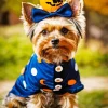 Halloween Yorkshire Terrier Diamond Painting