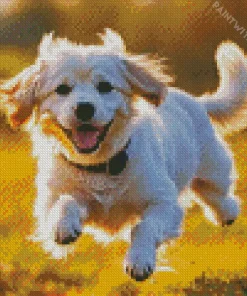 Happy Bichon Frise Diamond Painting