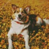 Happy Border Collie In Yellow Flowers Diamond Painting