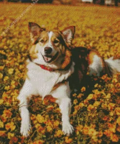 Happy Border Collie In Yellow Flowers Diamond Painting