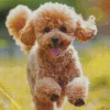 Happy Poodle Diamond Painting