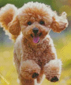 Happy Poodle Diamond Painting