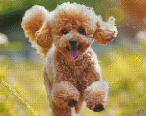 Happy Poodle Diamond Painting