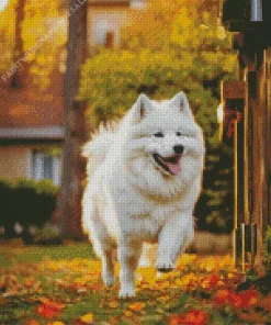 Happy Samoyed Diamond Painting