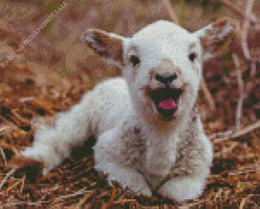 Happy Lamb Diamond Painting