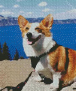 Happy Pembroke Welsh Corgi Diamond Painting