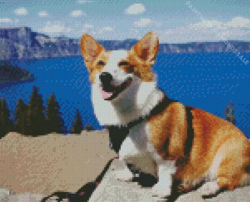 Happy Pembroke Welsh Corgi Diamond Painting