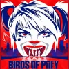 Harley Quinn Birds Of Prey Diamond Painting