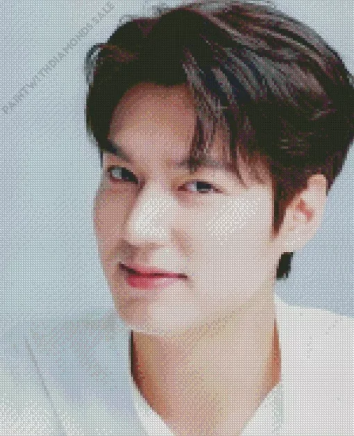 Korean Actor Lee Minho Diamond Painting