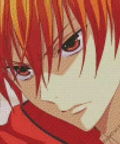 Kyo Fruits Basket Diamond Painting