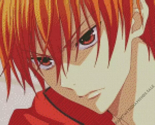 Kyo Fruits Basket Diamond Painting