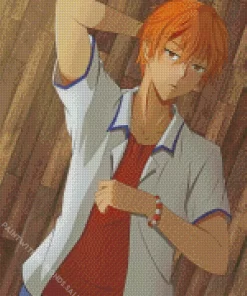 Kyo Sohma Fruits Basket Diamond Painting