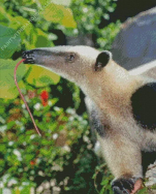 Lesser Anteater Diamond Painting