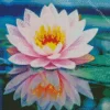 Light Pink Water Lily Diamond Painting