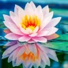 Light Pink Water Lily Diamond Painting