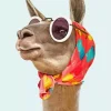 Llama With Sunglasses Diamond Painting