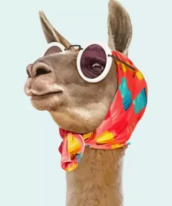 Llama With Sunglasses Diamond Painting