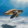 Loggerhead Sea Turtle Diamond Painting