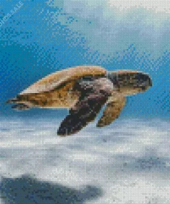 Loggerhead Sea Turtle Diamond Painting