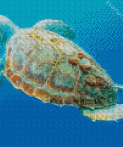 Loggerhead Sea Turtle Underwater Diamond Painting