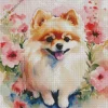 Lovely Pomeranian Puppy Diamond Painting