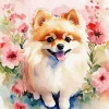 Lovely Pomeranian Puppy Diamond Painting