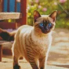 Lovely Siamese Cat Diamond Painting