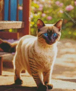 Lovely Siamese Cat Diamond Painting