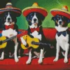 Mexican Border Collies Diamond Painting