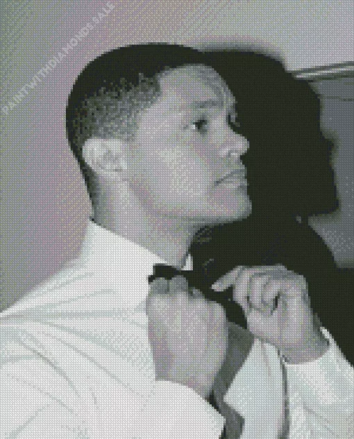 Monochrome Trevor Noah Diamond Painting