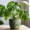 Monstera In A Vintage Vase Diamond Painting