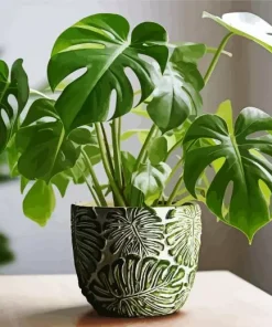 Monstera In A Vintage Vase Diamond Painting