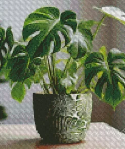 Monstera In A Vintage Vase Diamond Painting