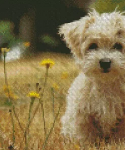 Morkie In Field With Yellow Flowers Diamond Painting