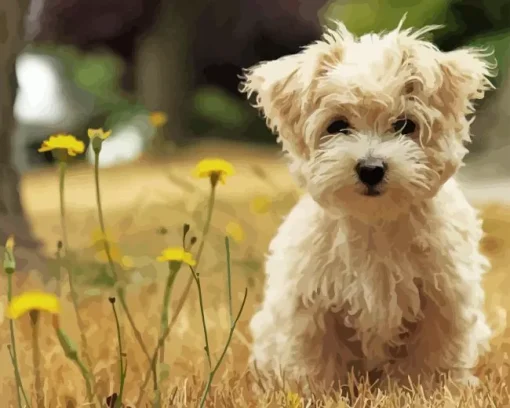 Morkie In Field With Yellow Flowers Diamond Painting