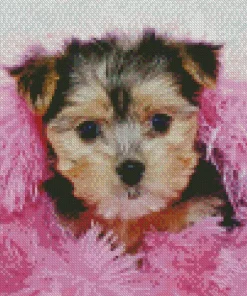 Morkie Poo Diamond Painting