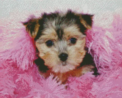 Morkie Poo Diamond Painting