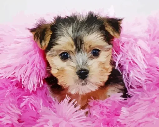 Morkie Poo Diamond Painting